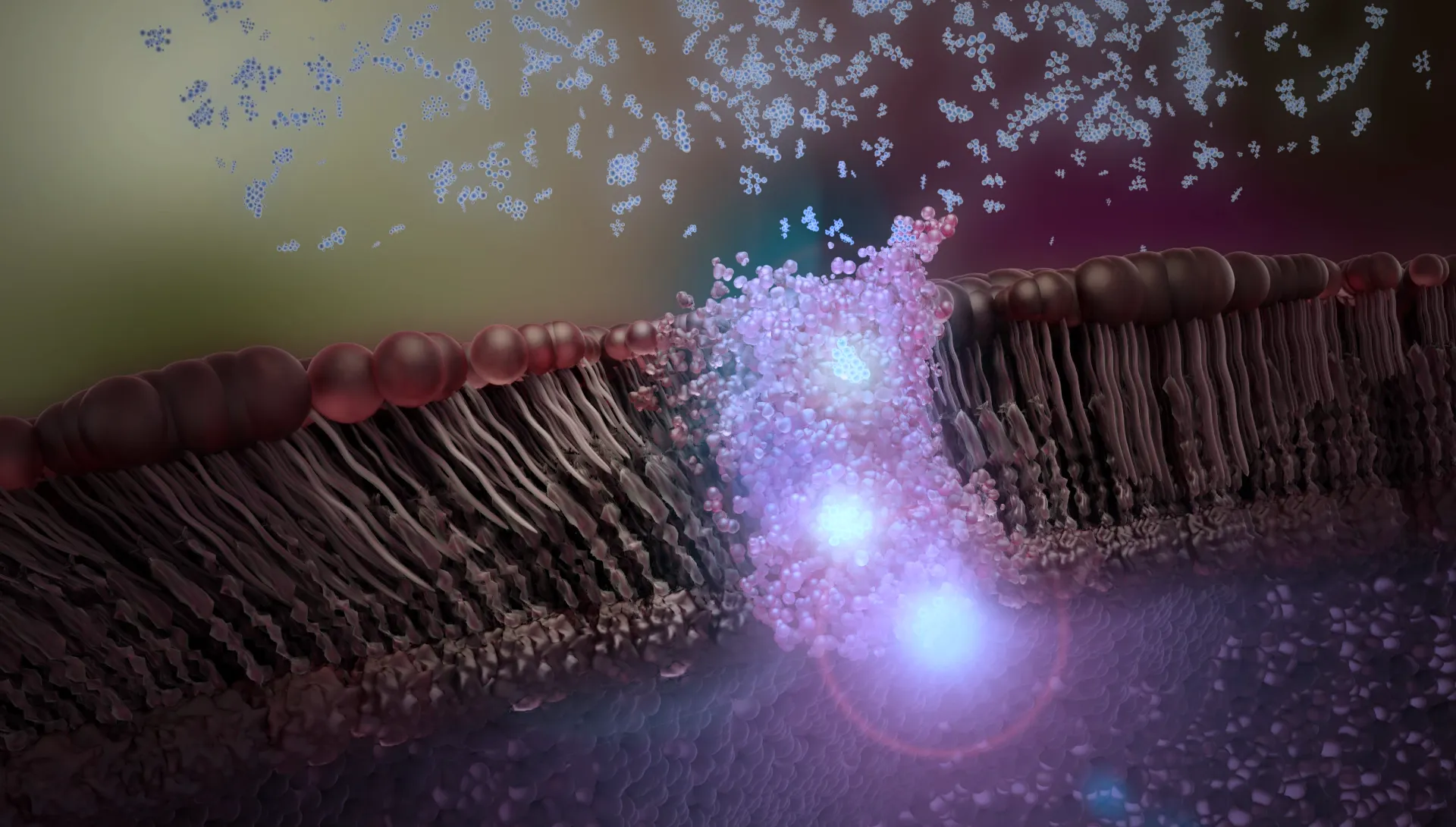 Scientific visualization produced by the scivizlab